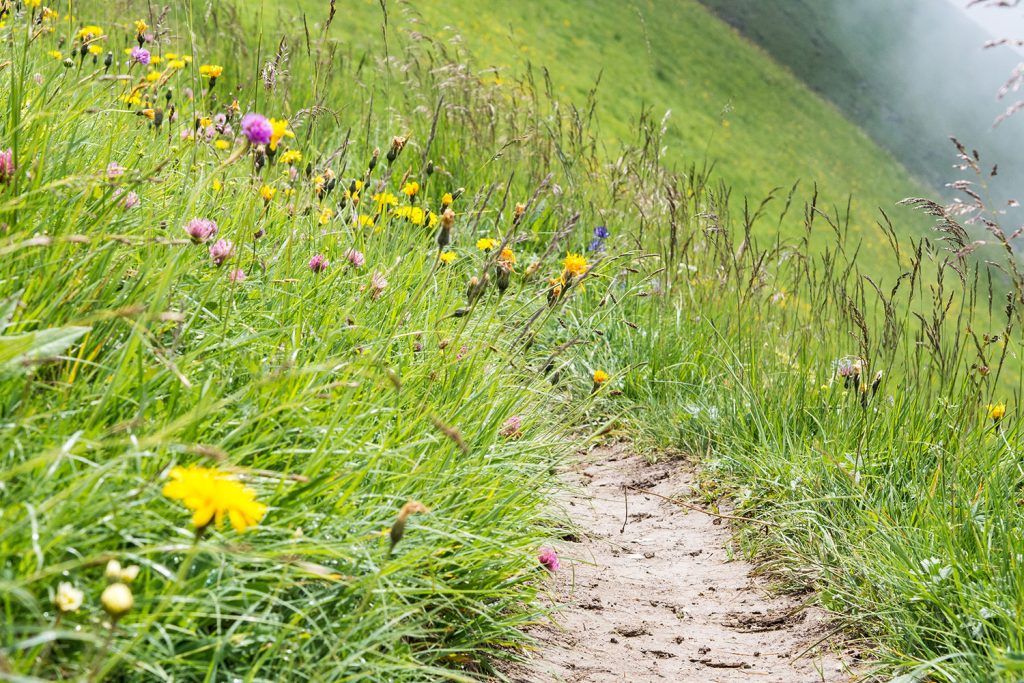 Mit der Mama in den Bergen