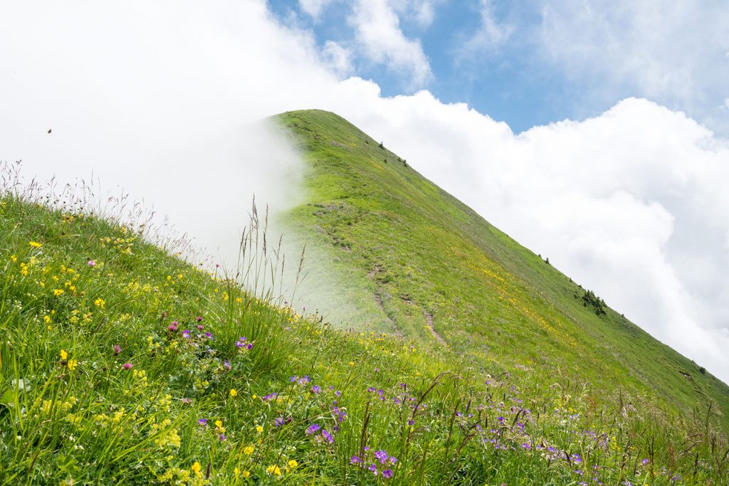 Bähnli-Safari mit dem Sohn