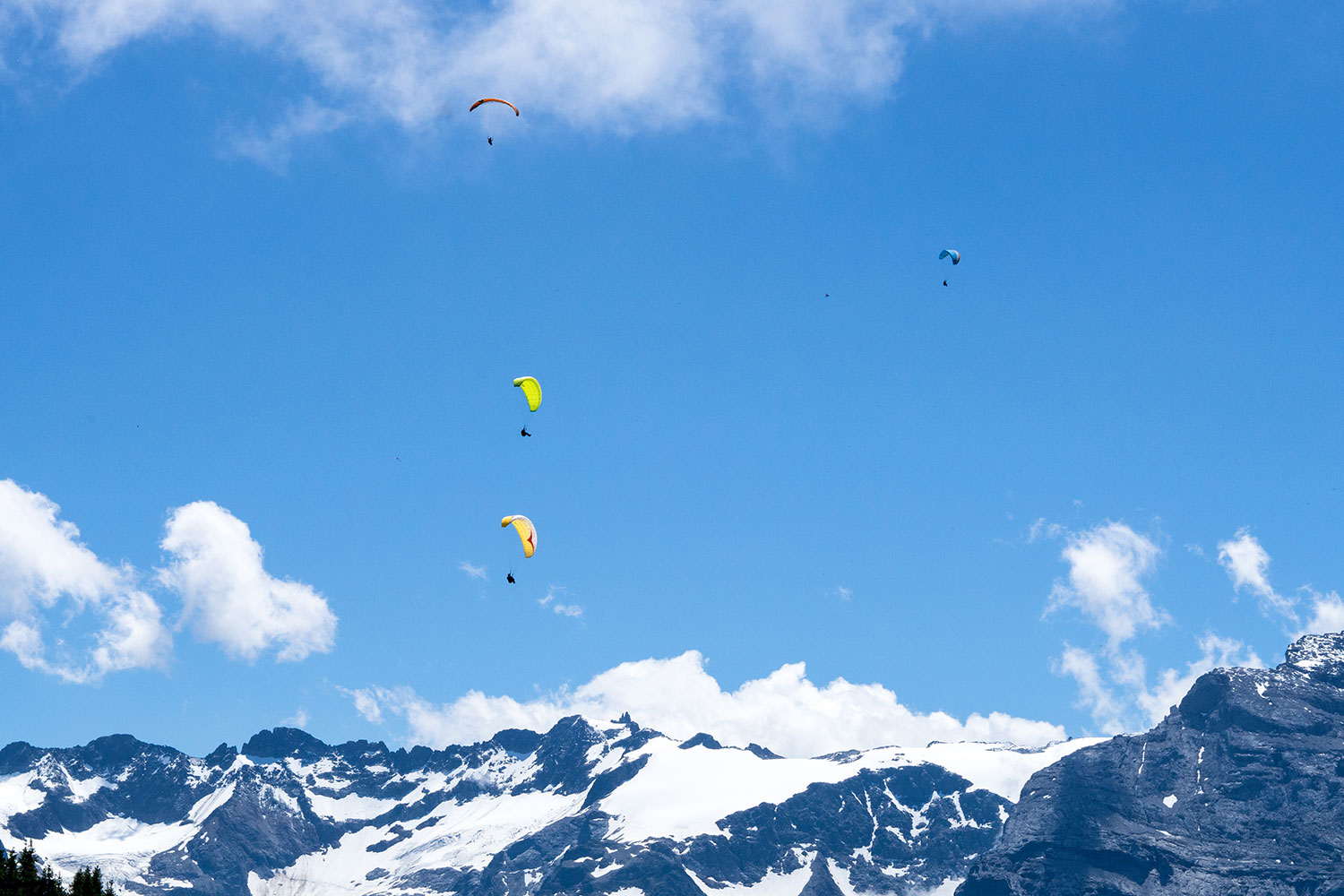 Bähnli-Safari mit dem Sohn