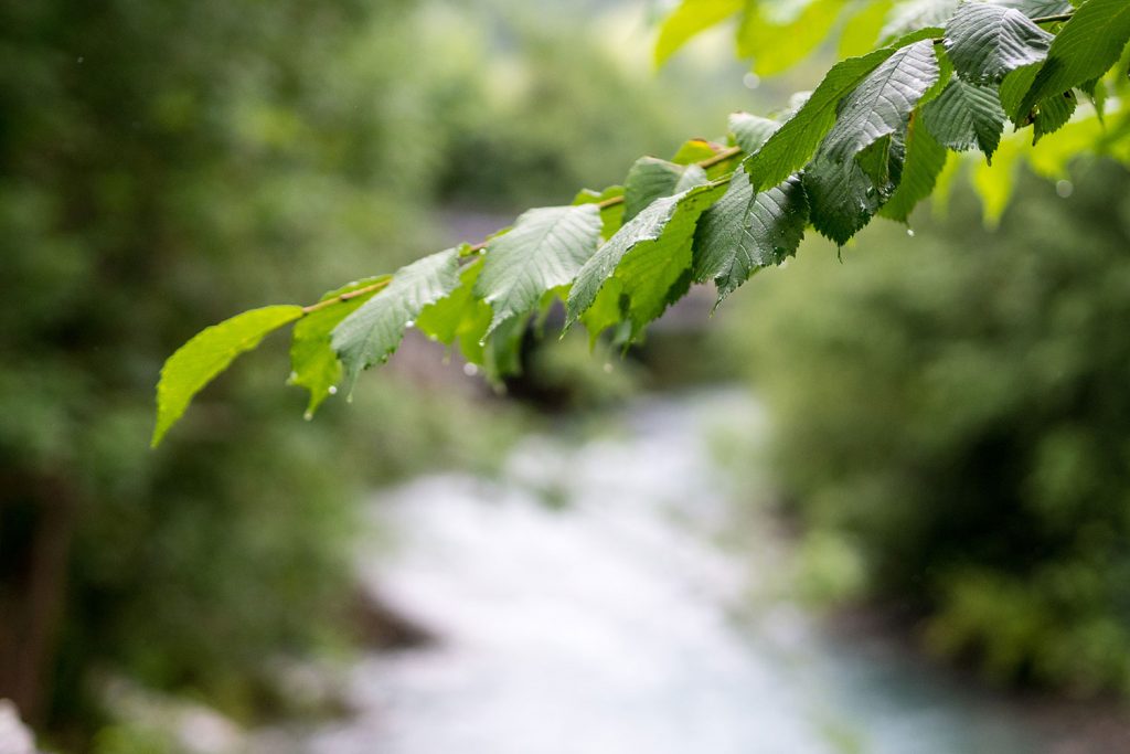 Bähnli-Safari mit dem Sohn