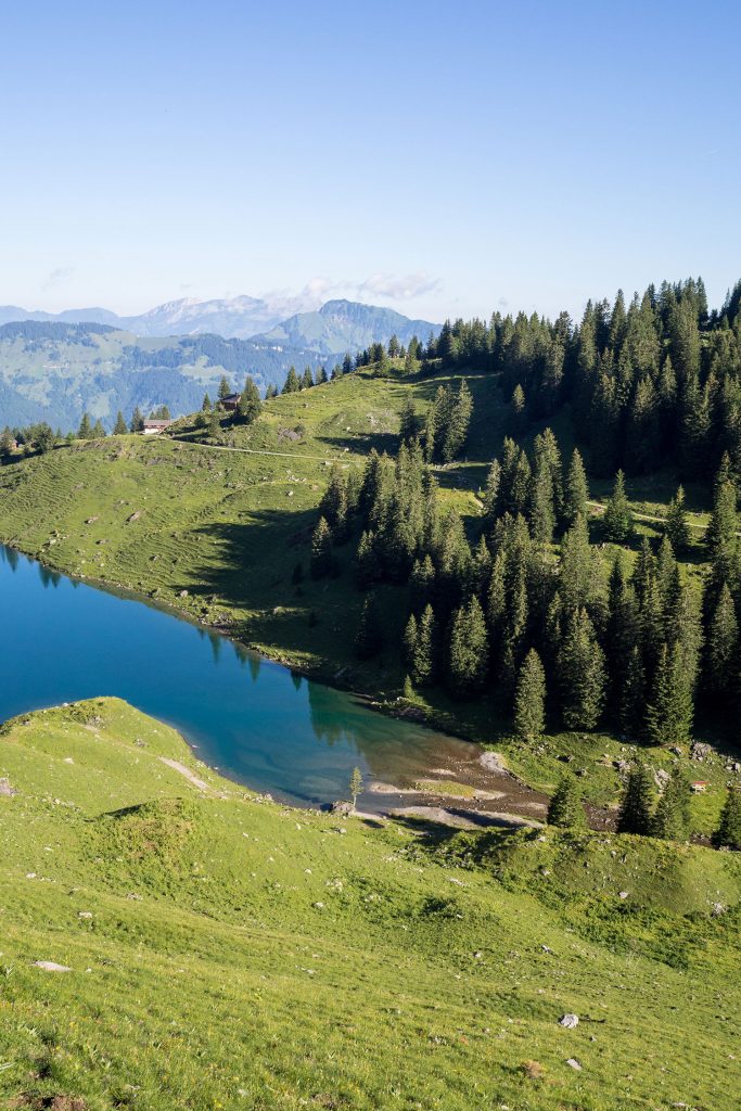 Bähnli-Safari mit dem Sohn