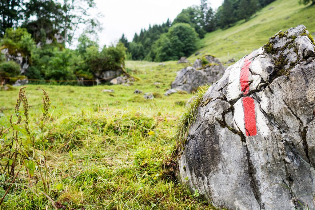 Bähnli-Safari mit dem Sohn