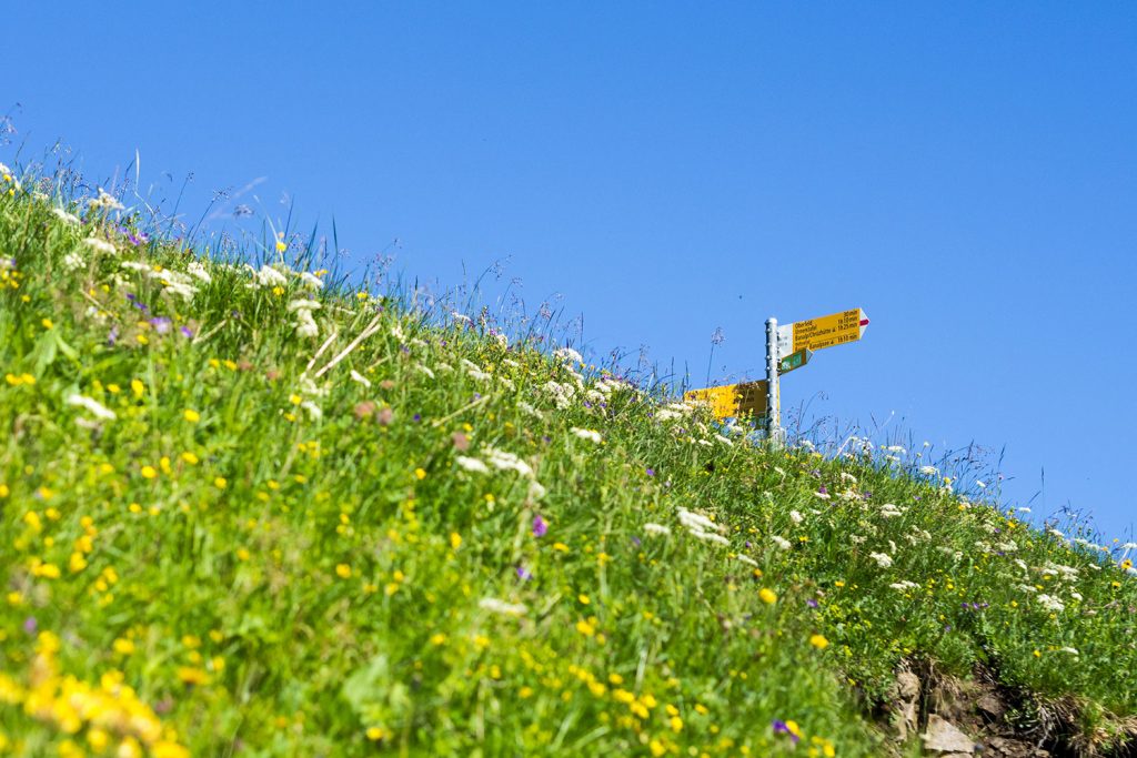 Bähnli-Safari mit dem Sohn