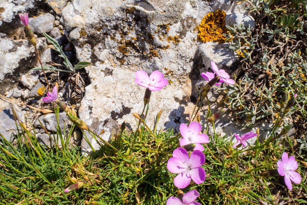 Über das Glück des Unverhofften