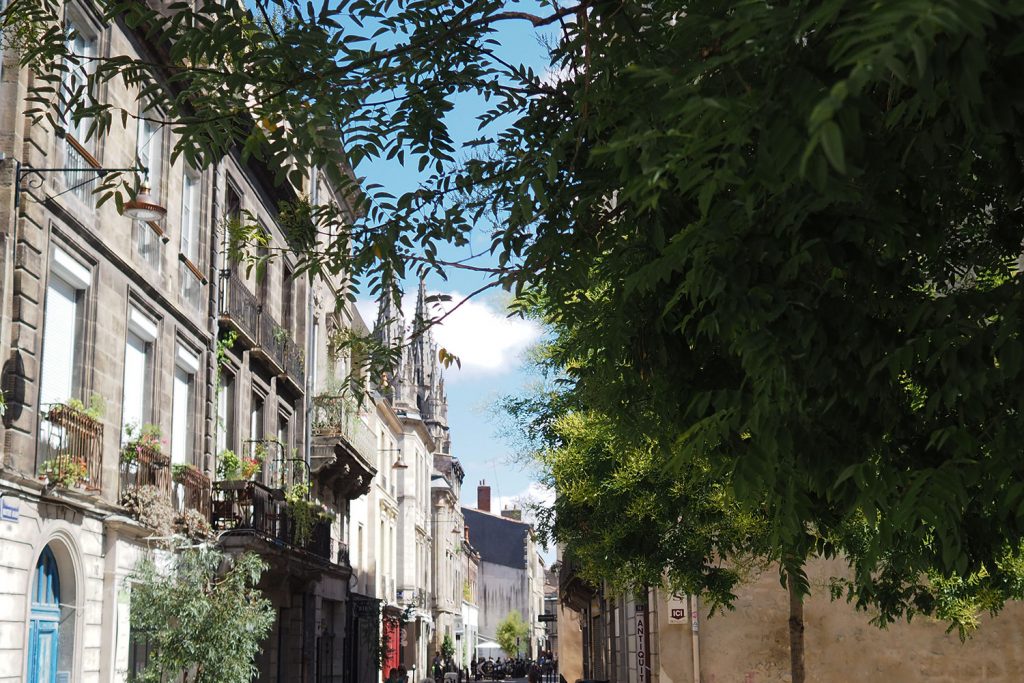 5 Gründe, sich in Bordeaux zu verlieben