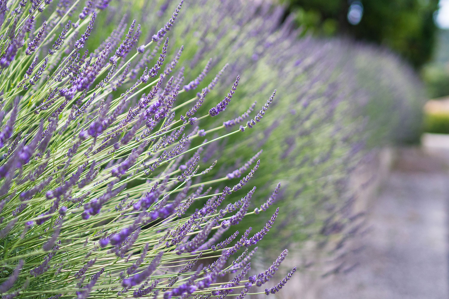 Der Mistral, das Meer – und wir!