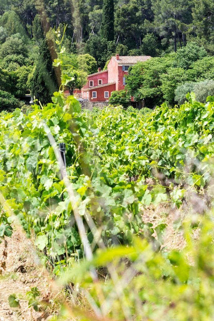 Der Mistral, das Meer – und wir!