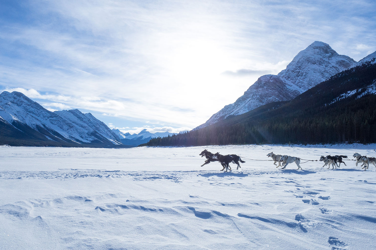 5 Winter-Must Do´s in den Rocky Mountains
