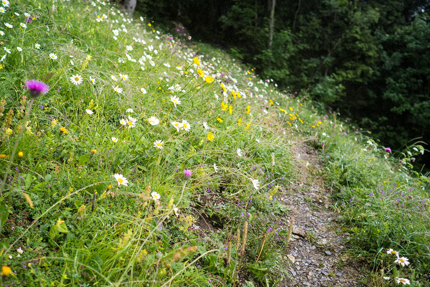 Mit der Mama in den Bergen