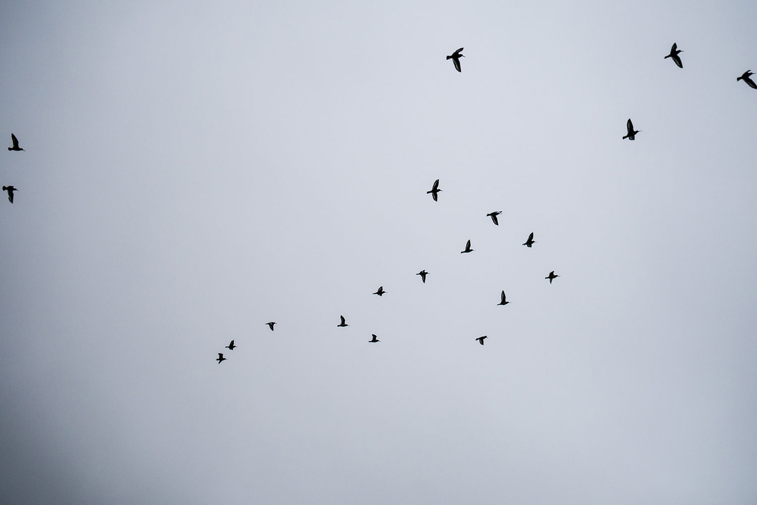 Die Färöer – jeder Tag ein neues Wunder