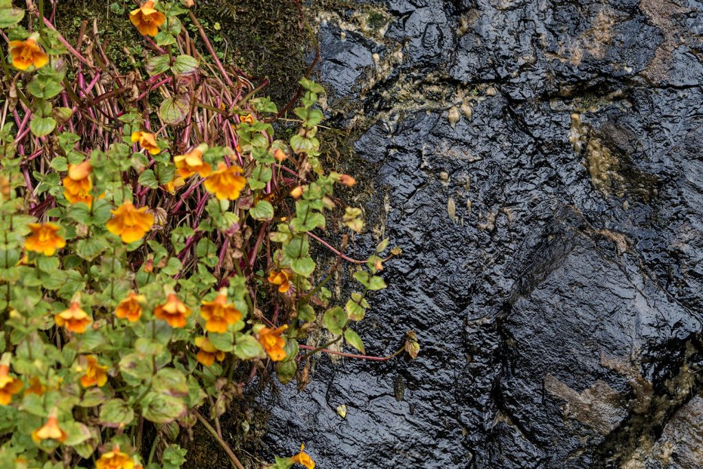 Die Färöer – jeder Tag ein neues Wunder