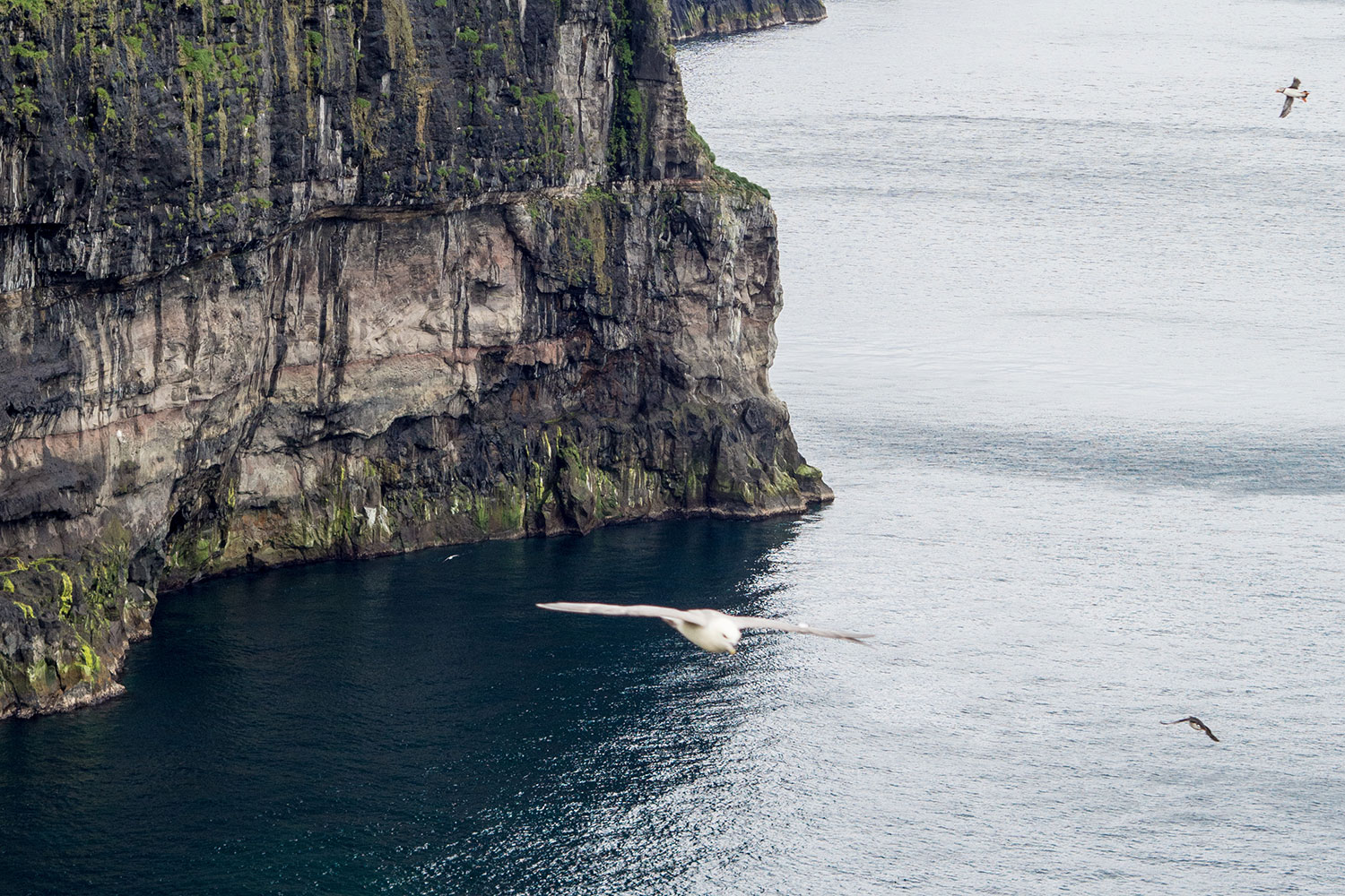 Die Färöer – jeder Tag ein neues Wunder
