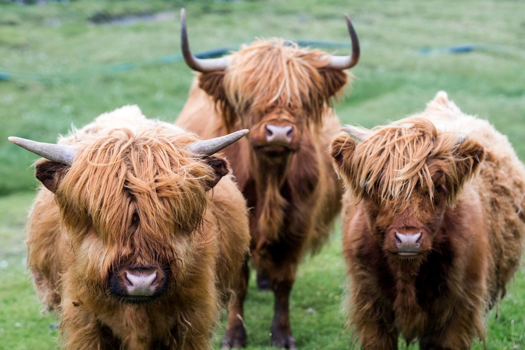 Die Färöer – jeder Tag ein neues Wunder