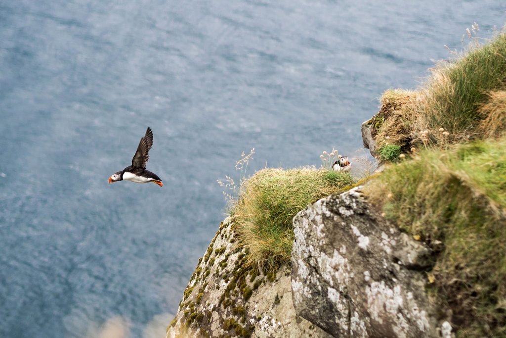 Die Färöer – jeder Tag ein neues Wunder