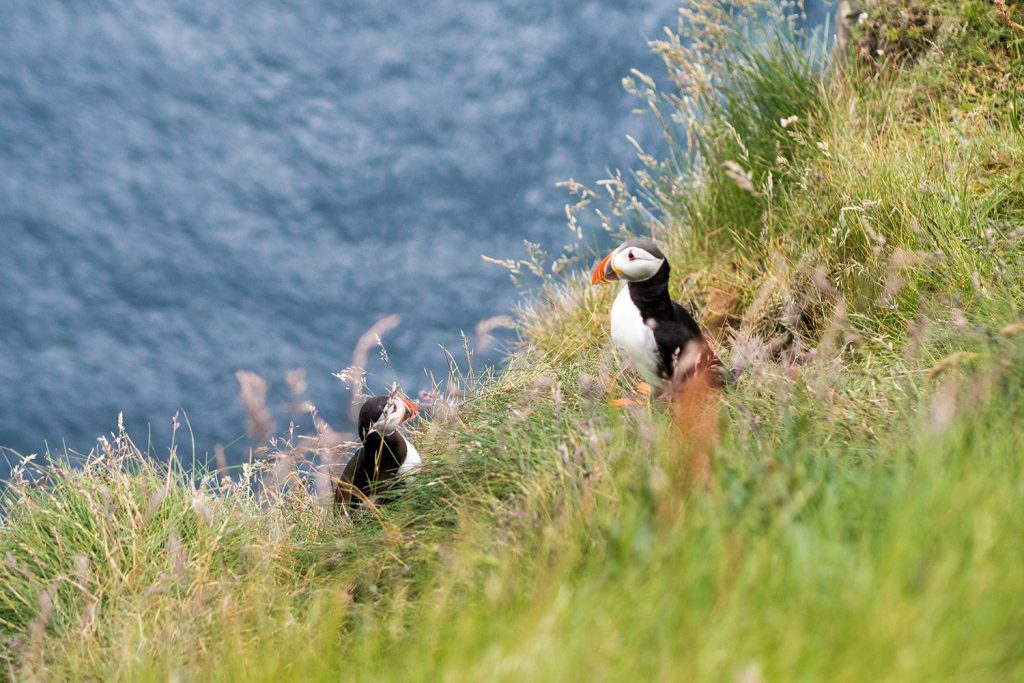 Die Färöer – jeder Tag ein neues Wunder