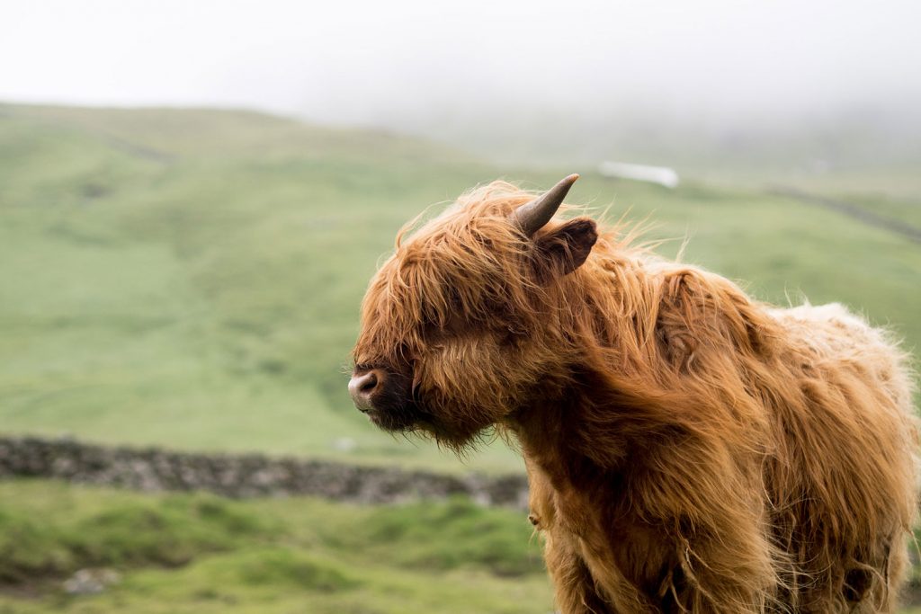 Die Färöer – jeder Tag ein neues Wunder