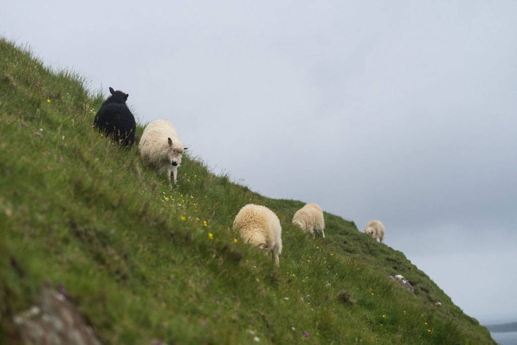 Die Färöer – jeder Tag ein neues Wunder