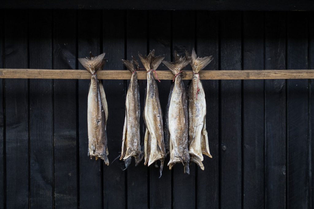 Die Färöer – jeder Tag ein neues Wunder