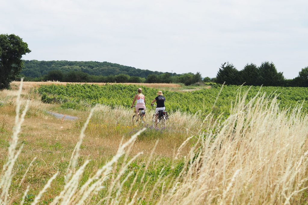 Loire oder Loir – das ist hier die Frage!
