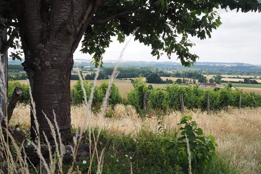 Loire oder Loir – das ist hier die Frage!