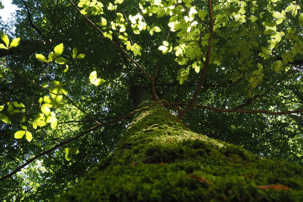 Loire oder Loir – das ist hier die Frage!
