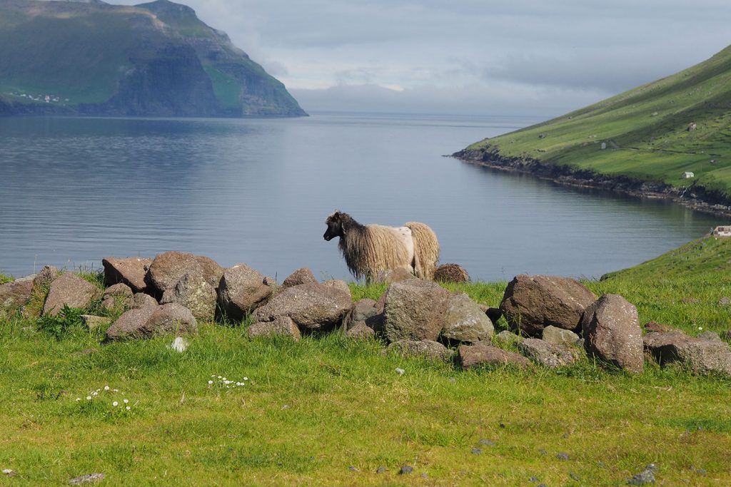 Von lauten Beats und leisen Tönen