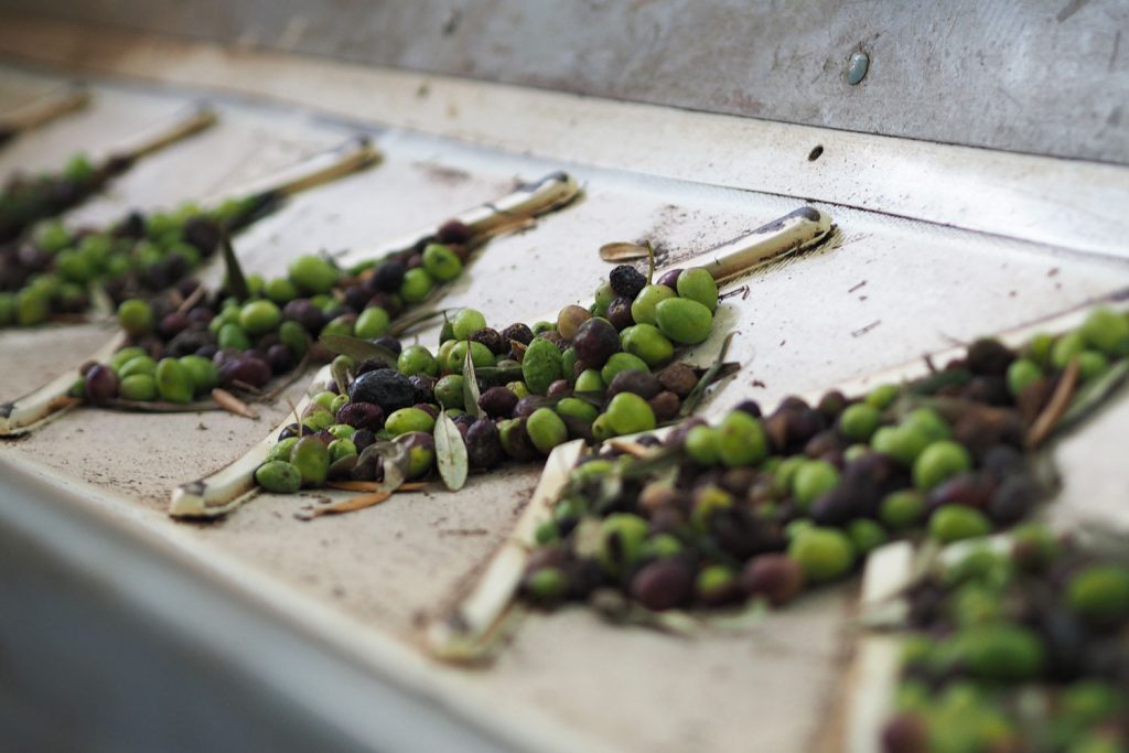 Roadtrip durch Jordanien – Teil 1