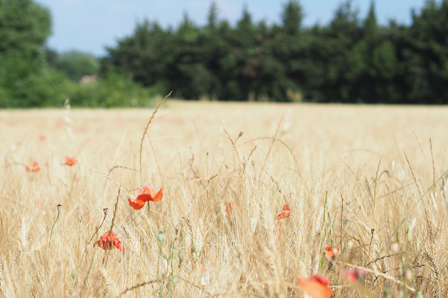 Frankreich – zu Wasser und zu Lande