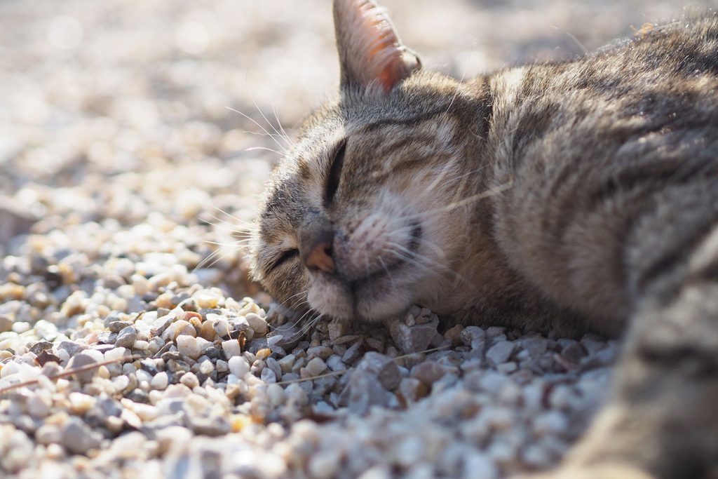 Frankreich – zu Wasser und zu Lande