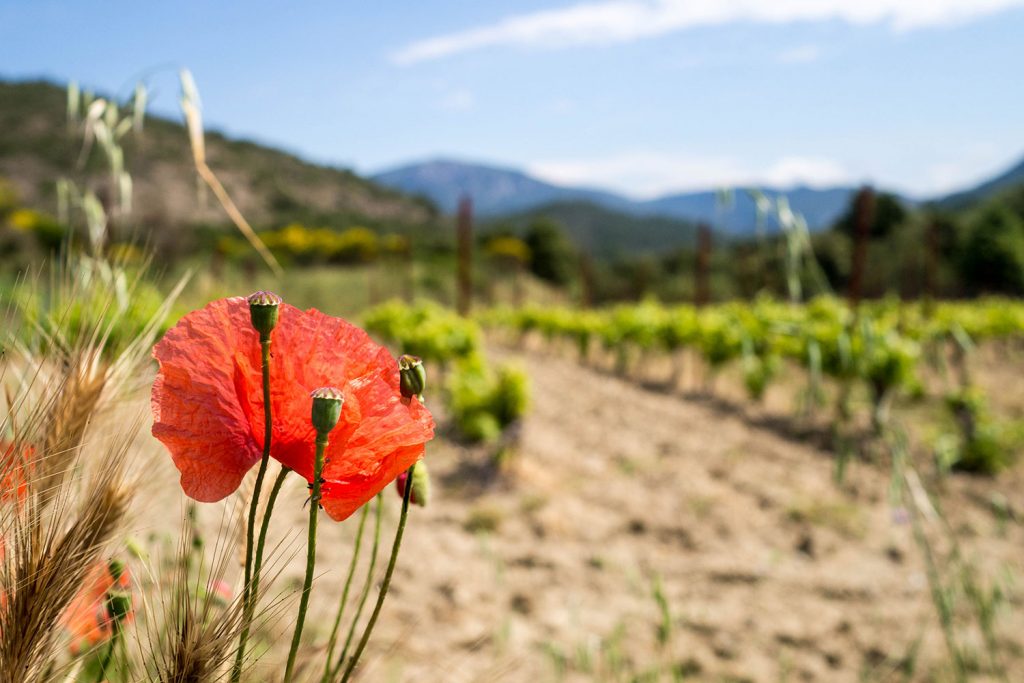 Über das Glück des Unverhofften