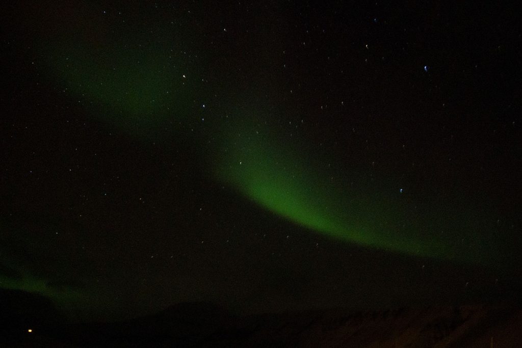 Spitsbergen – gekommen, um zu bleiben?
