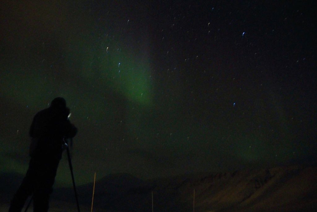 Spitsbergen – gekommen, um zu bleiben?