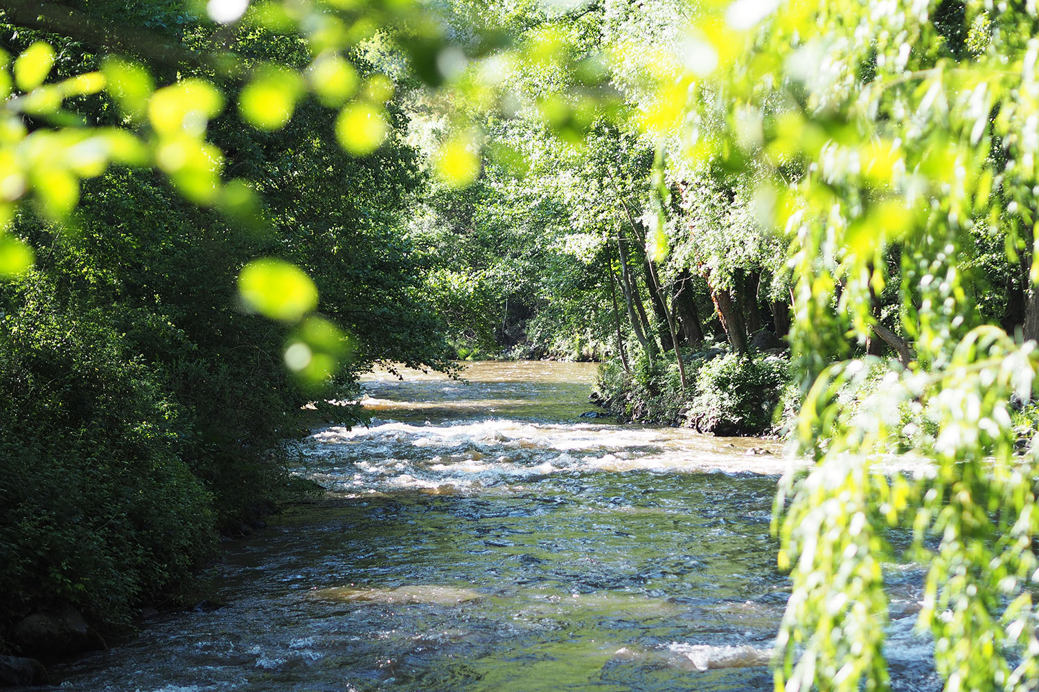 Frankreich – zu Wasser und zu Lande