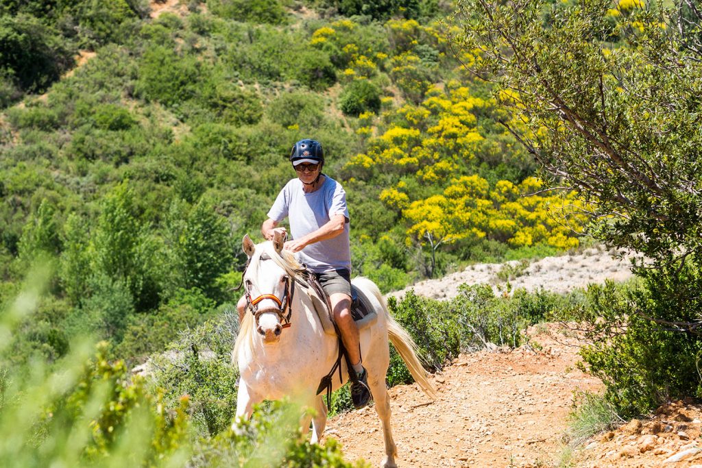 Über das Glück des Unverhofften