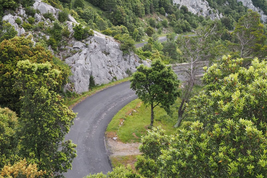 Über das Glück des Unverhofften