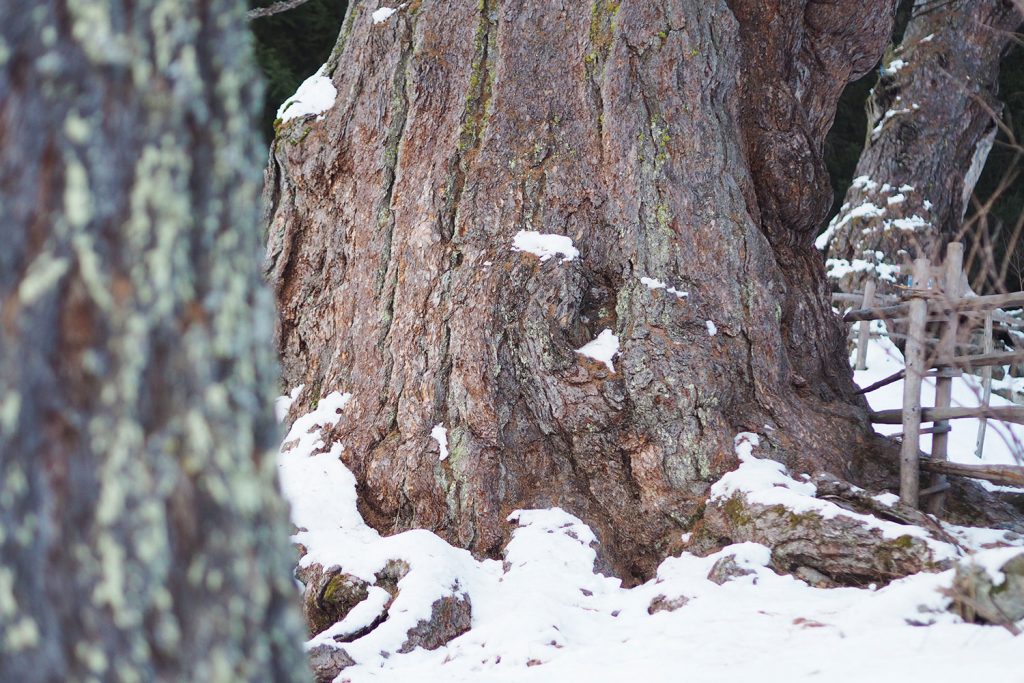 Das letzte Geheimnis – Val d’Ultimo