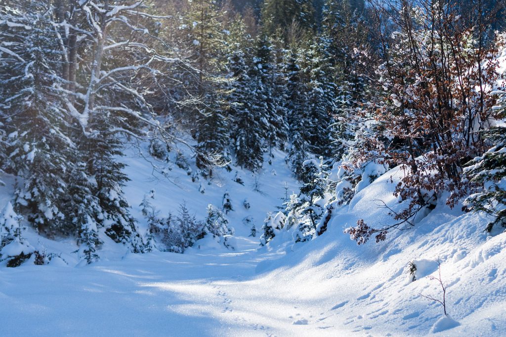 Offroad, fast & furious durch Tirol