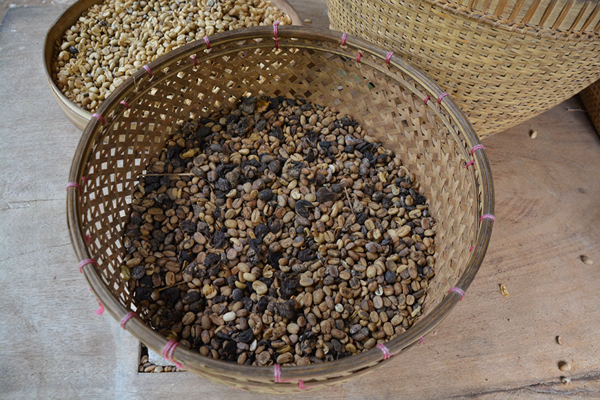 Go to Bali? Go to Ubud!