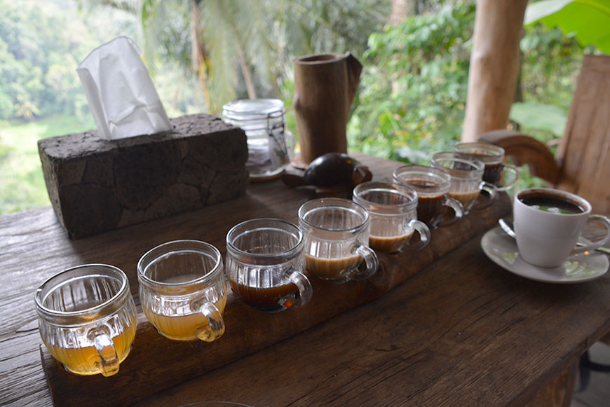 Go to Bali? Go to Ubud!