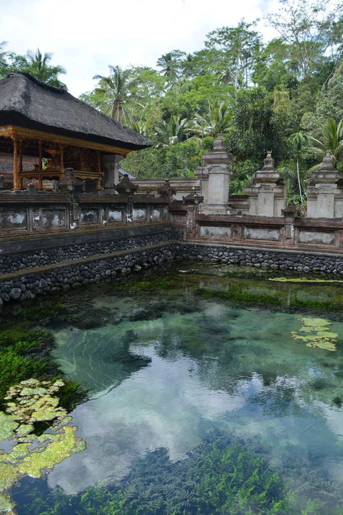 Go to Bali? Go to Ubud!