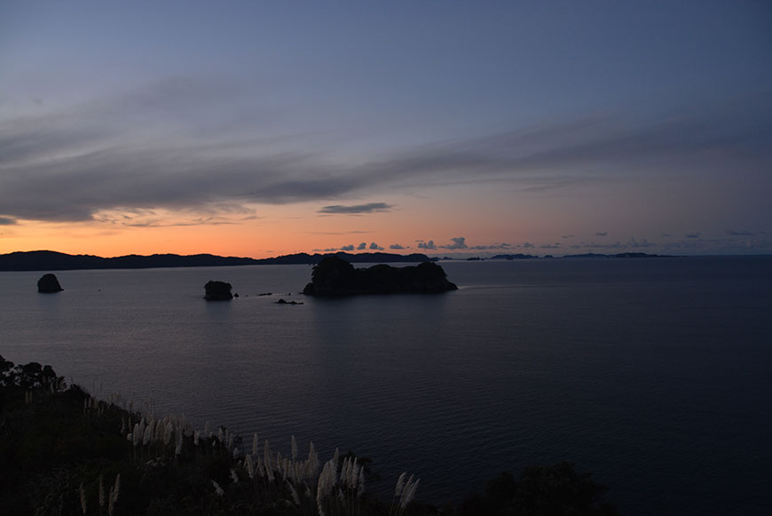 Schäfchen zählen in Neuseeland