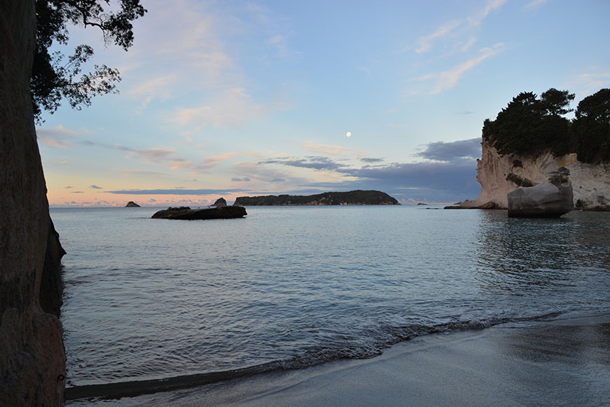 Schäfchen zählen in Neuseeland