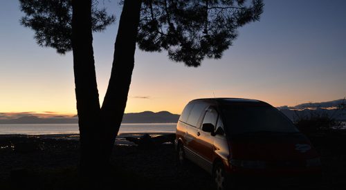 Schäfchen zählen in Neuseeland