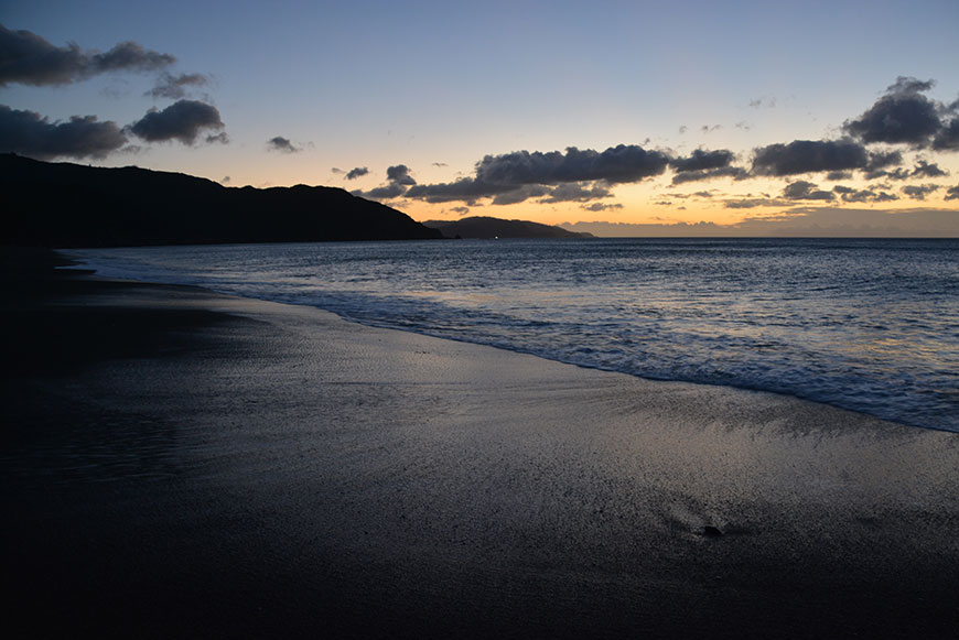 Schäfchen zählen in Neuseeland