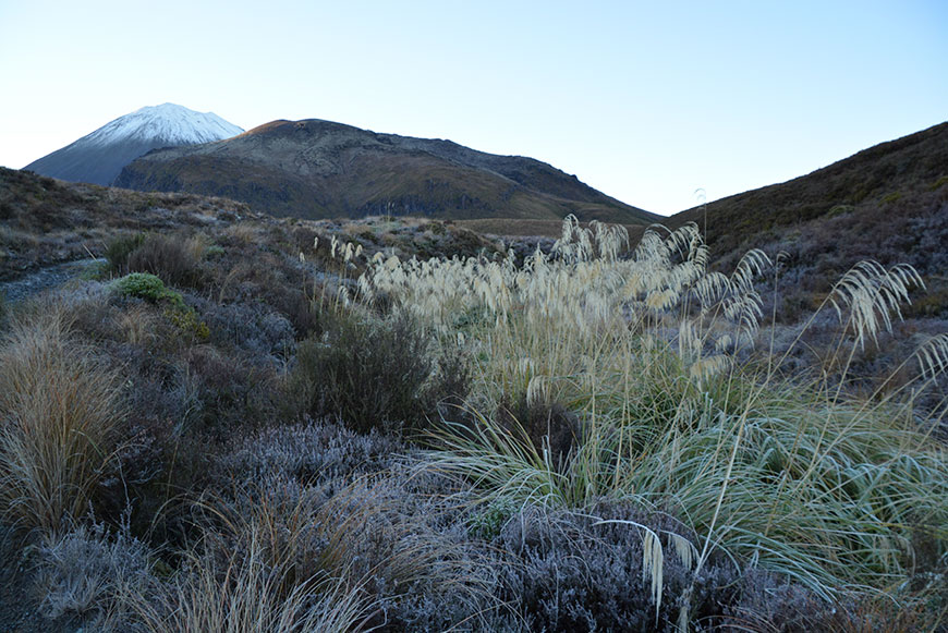Tongariro Alpine Crossing