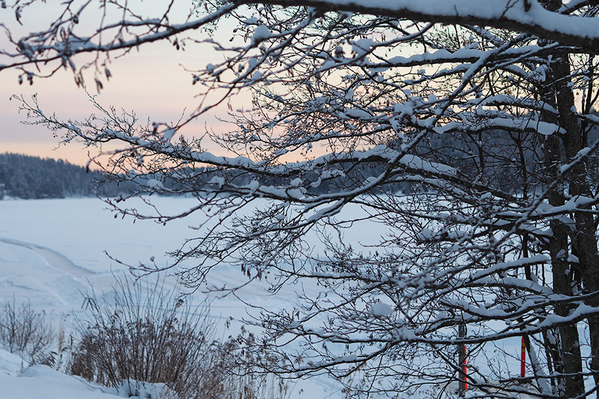 Back to the Roots – Altai Ski