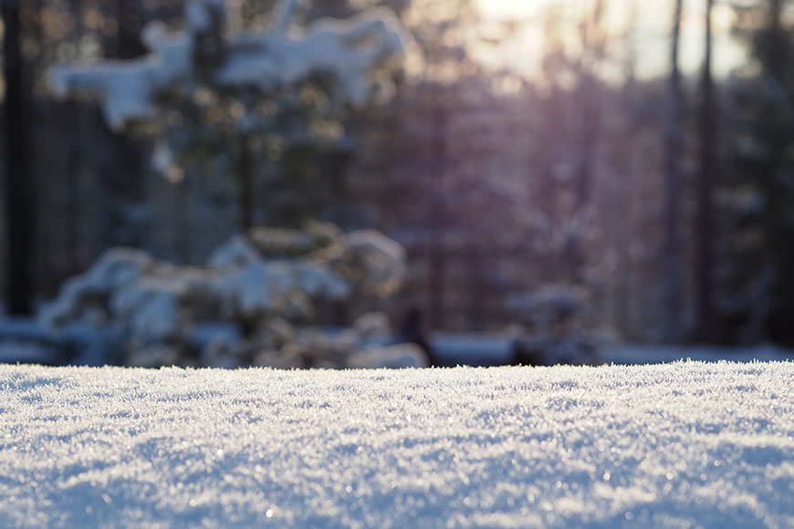 Back to the Roots – Altai Ski