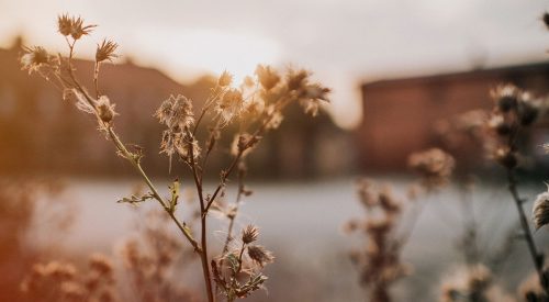 5 Tipps gegen Herbstblues