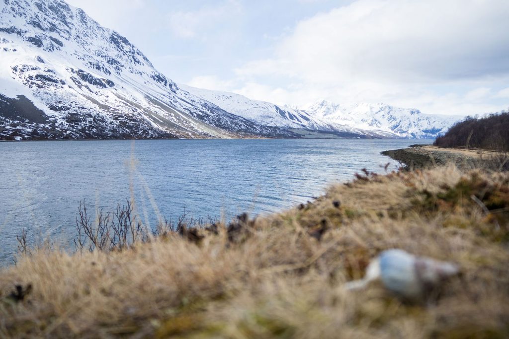 5 Skitour highlights in Lyngenfjord