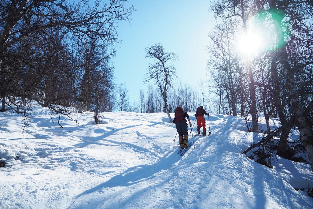 5 Skitour highlights in Lyngenfjord